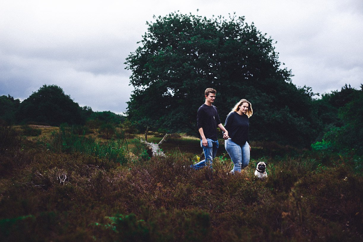 Bild zu Vanessa & Pierre – Paarshoot in der Wahner Heide Köln