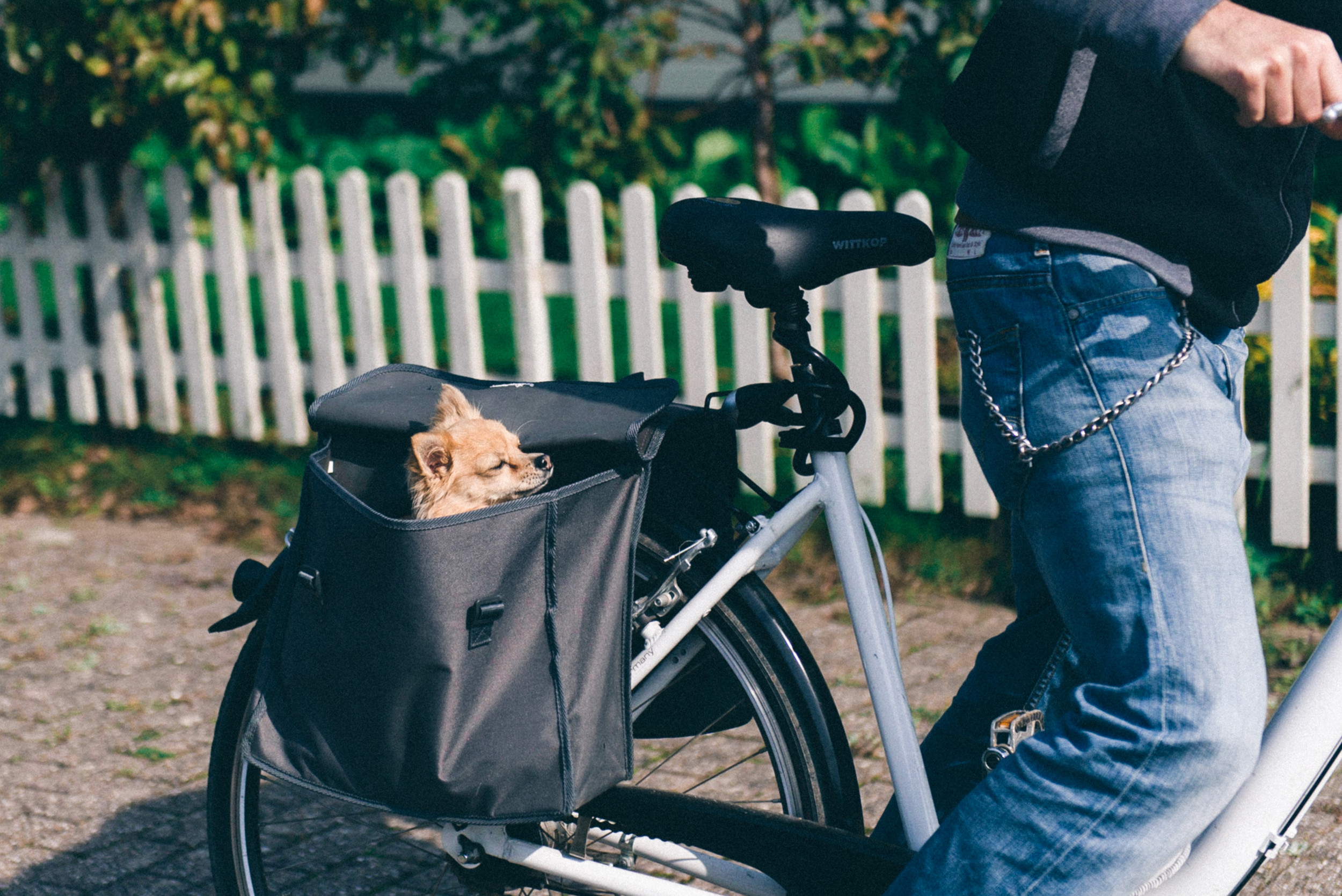 Bild zu Paarshooting am Strand in Breskens - Teil 2 mit Caro & Henning