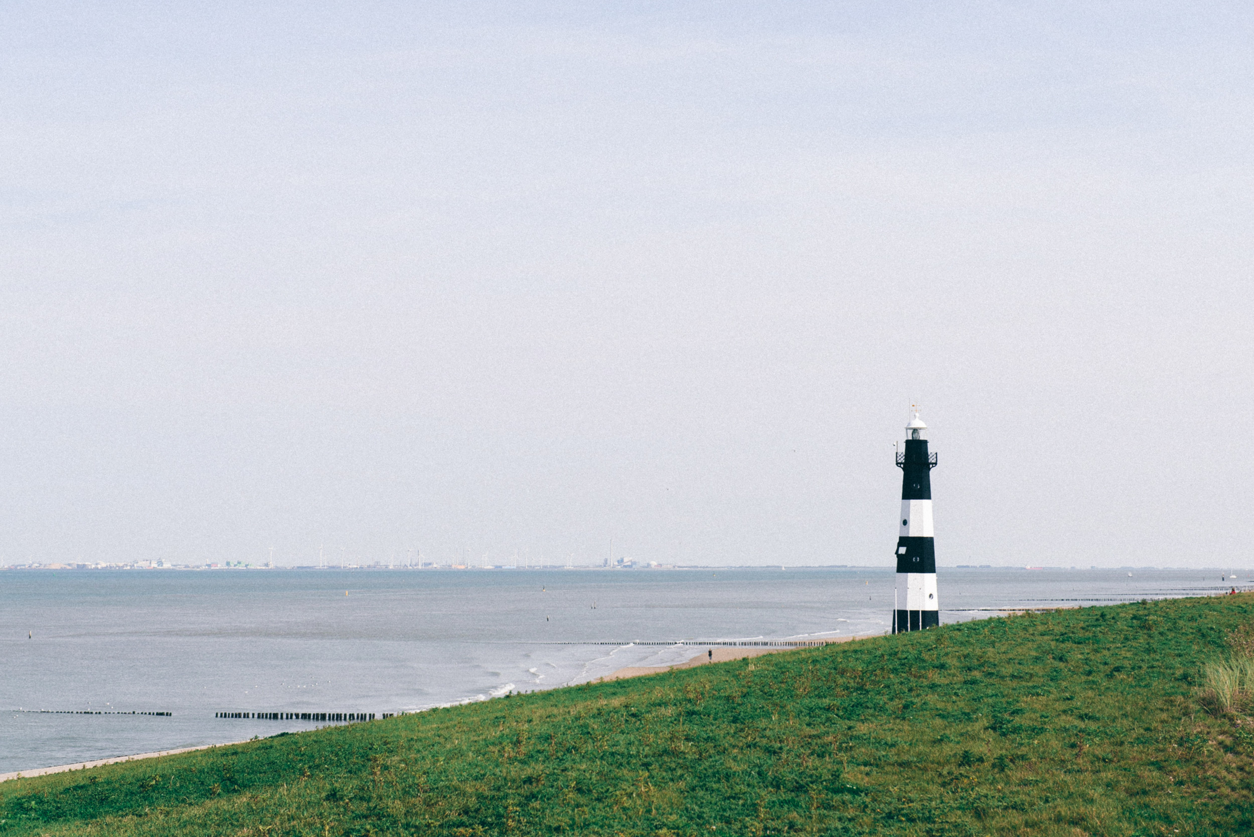 Bild zu Paarshooting am Strand in Breskens - Teil 2 mit Caro & Henning