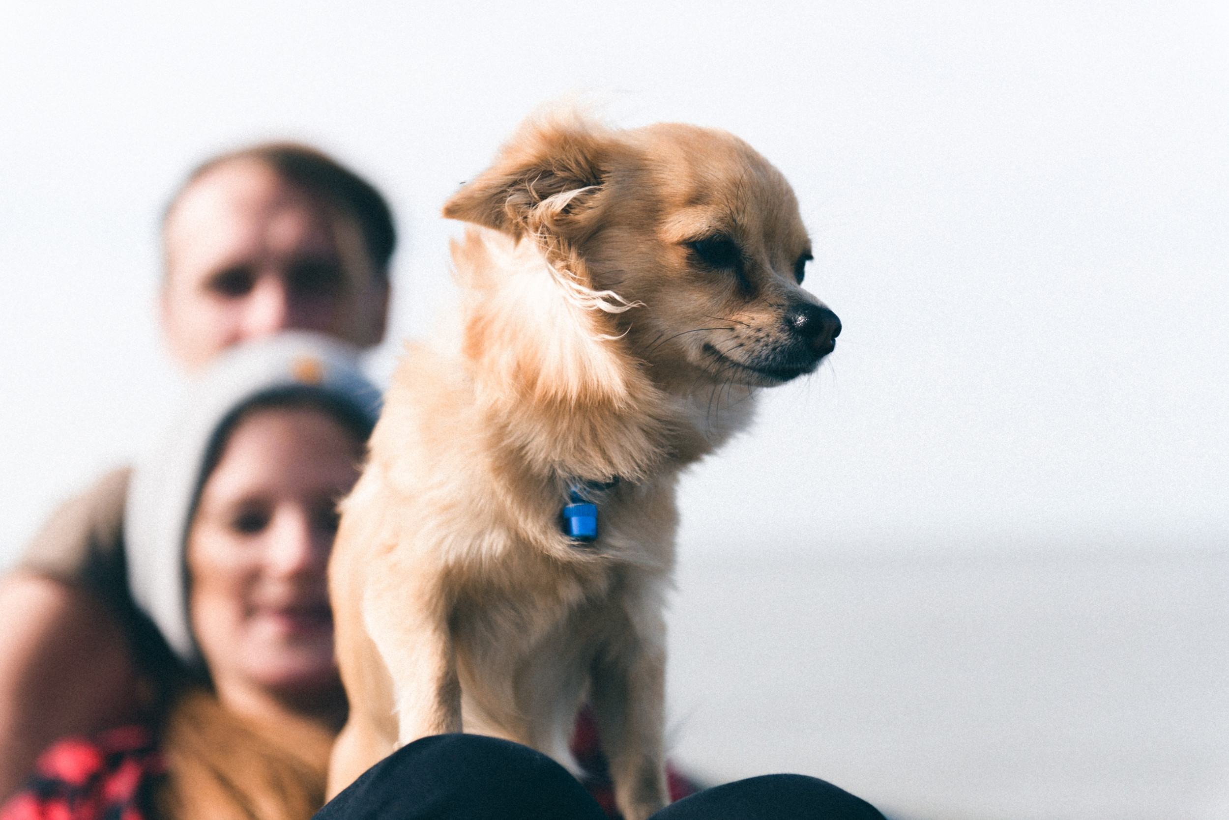 Bild zu Paarshooting am Strand in Breskens - Teil 2 mit Caro & Henning