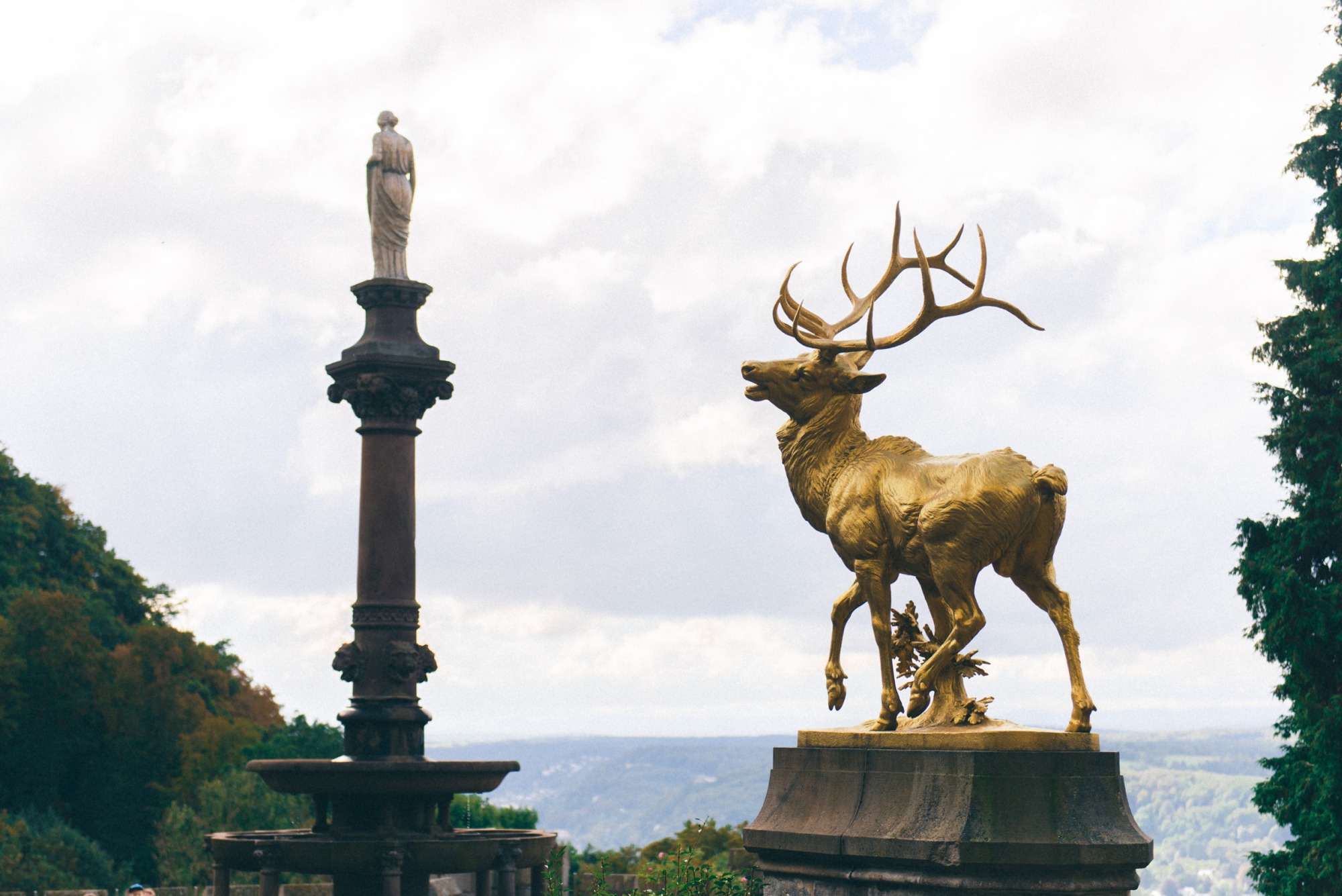 Bild zu Hochzeit auf Schloss Drachenburg in Königswinter