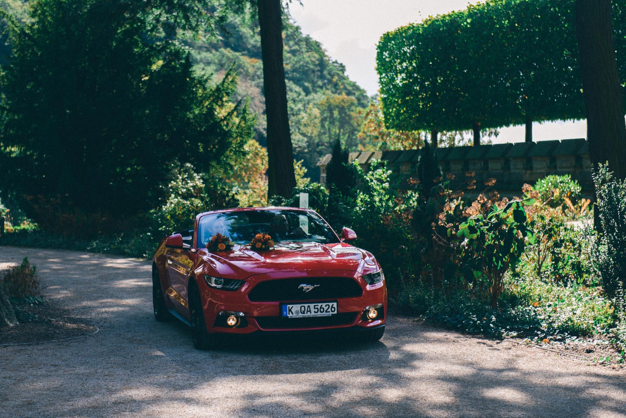 Bild zu Hochzeit auf Schloss Drachenburg in Königswinter